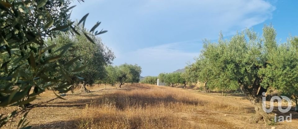 Terreno de 6.093 m² en Ginestar (43748)