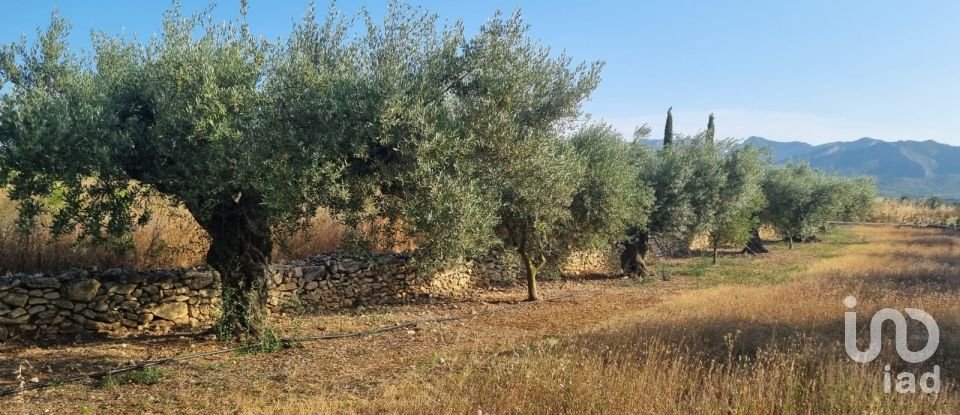 Terreno de 6.093 m² en Ginestar (43748)