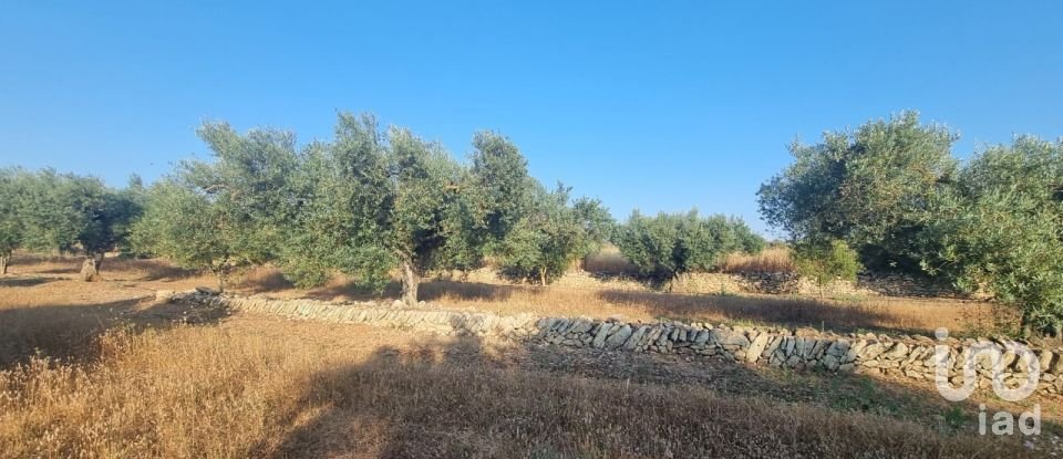 Terreno de 6.093 m² en Ginestar (43748)