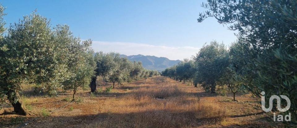 Terreno de 6.093 m² en Ginestar (43748)