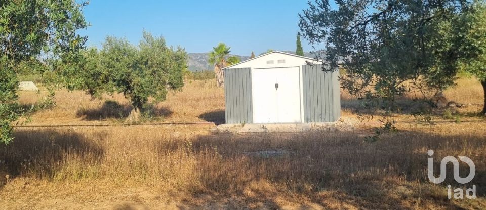 Terreno de 6.093 m² en Ginestar (43748)