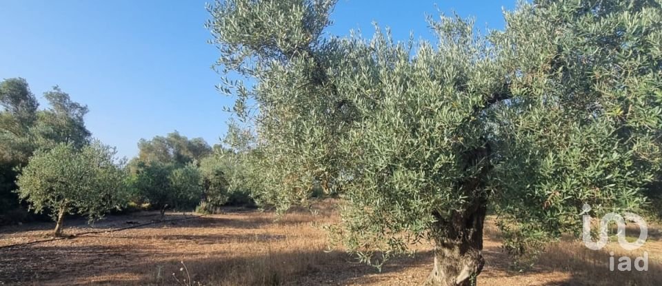 Terreno de 6.093 m² en Ginestar (43748)