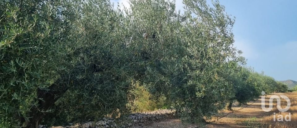 Terreno de 6.093 m² en Ginestar (43748)