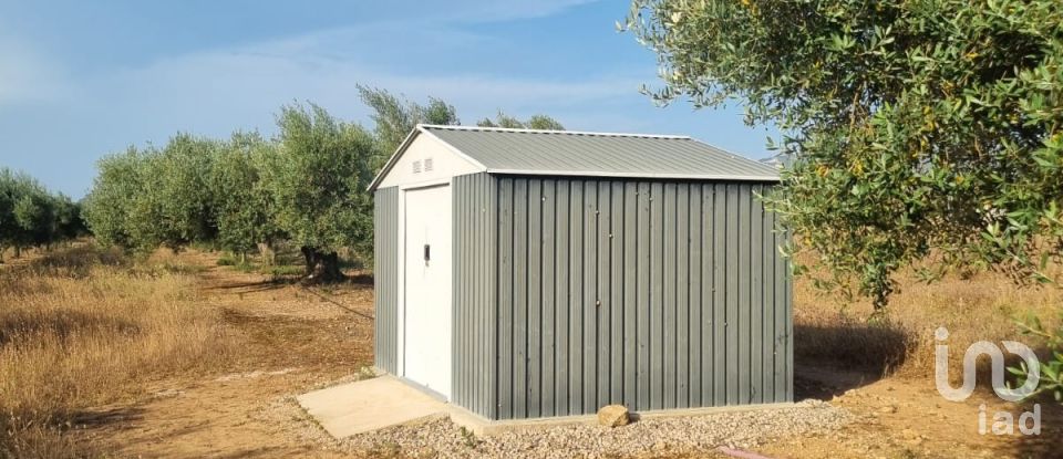 Terreno de 6.093 m² en Ginestar (43748)