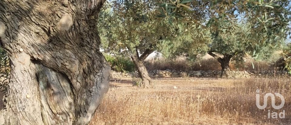 Terreno de 6.093 m² en Ginestar (43748)