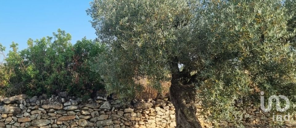 Terreno de 6.093 m² en Ginestar (43748)