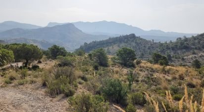 Land of 88,778 m² in Urbanización Carrasqueta (03100)