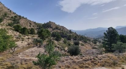 Land of 88,778 m² in Urbanización Carrasqueta (03100)