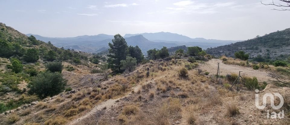 Terreno de 88.778 m² en Urbanización Carrasqueta (03100)
