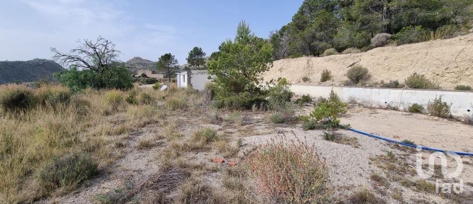 Terreno de 88.778 m² en Urbanización Carrasqueta (03100)