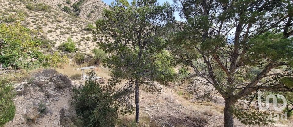 Terreno de 88.778 m² en Urbanización Carrasqueta (03100)