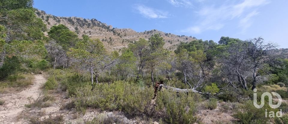 Terreno de 88.778 m² en Urbanización Carrasqueta (03100)