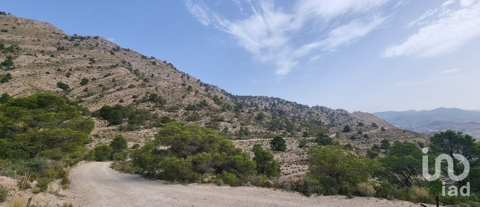 Terreno de 88.778 m² en Urbanización Carrasqueta (03100)