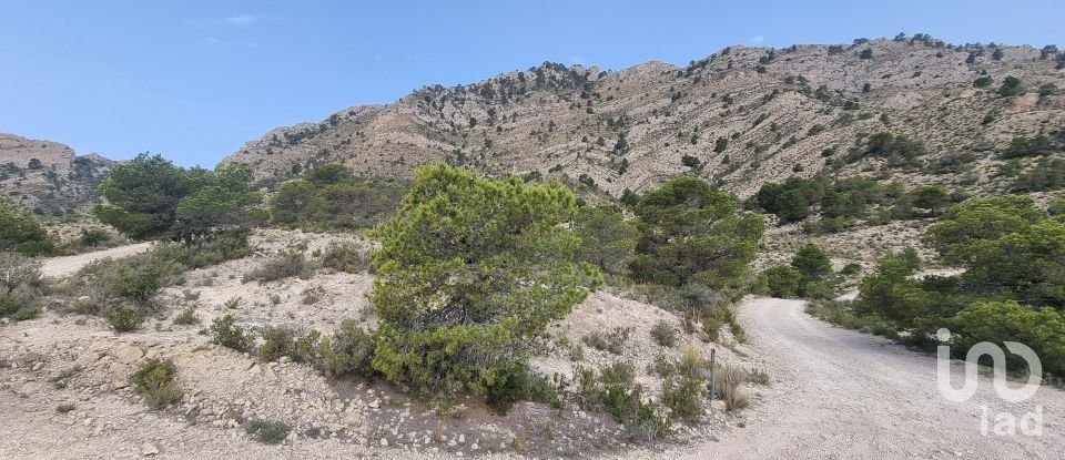 Terreno de 88.778 m² en Urbanización Carrasqueta (03100)