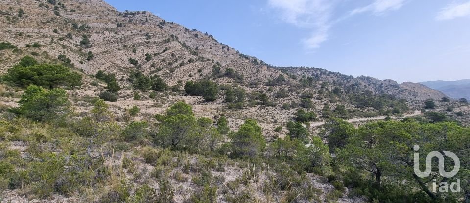 Terreno de 88.778 m² en Urbanización Carrasqueta (03100)