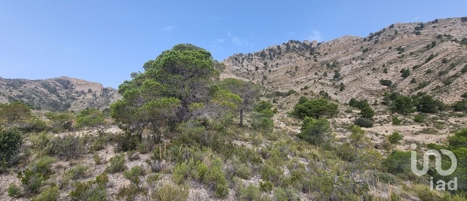 Terreno de 88.778 m² en Urbanización Carrasqueta (03100)