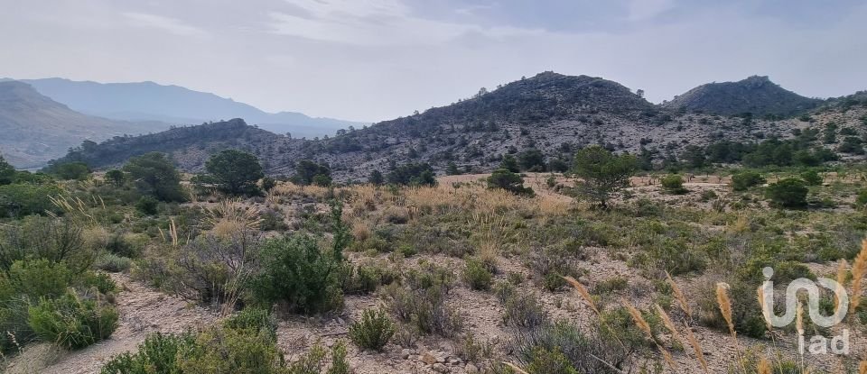 Terreno de 88.778 m² en Urbanización Carrasqueta (03100)
