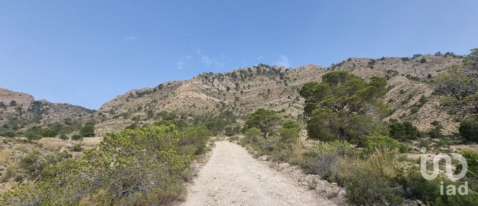 Terreno de 88.778 m² en Urbanización Carrasqueta (03100)