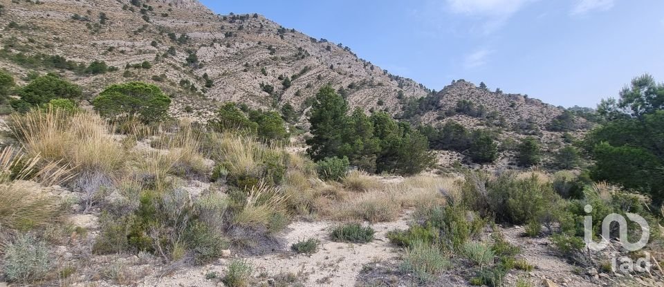 Terreno de 88.778 m² en Urbanización Carrasqueta (03100)