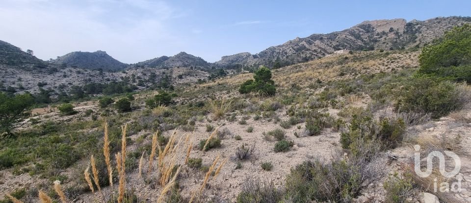 Terreno de 88.778 m² en Urbanización Carrasqueta (03100)