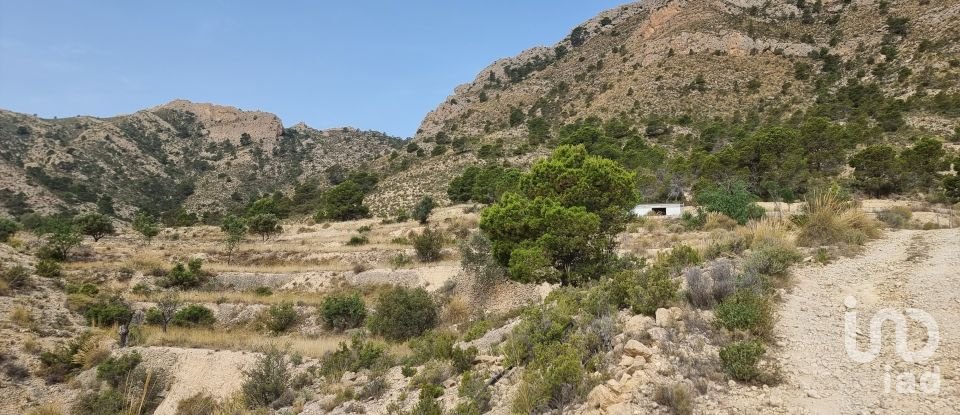 Terreno de 88.778 m² en Urbanización Carrasqueta (03100)