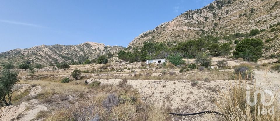 Terreno de 88.778 m² en Urbanización Carrasqueta (03100)