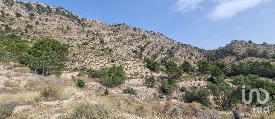 Terreno de 88.778 m² en Urbanización Carrasqueta (03100)