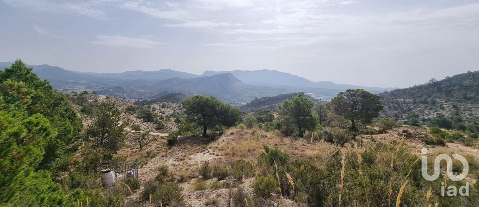 Terreno de 88.778 m² en Urbanización Carrasqueta (03100)