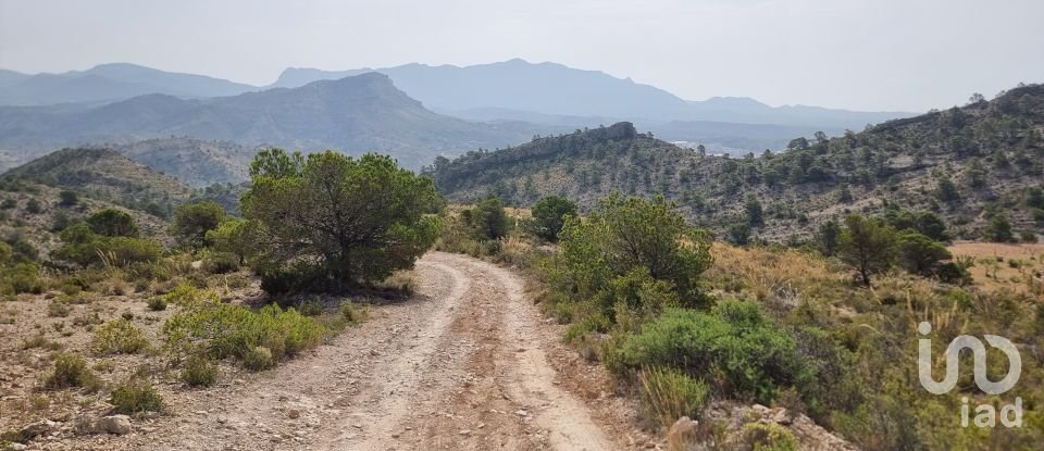 Terreno de 88.778 m² en Urbanización Carrasqueta (03100)