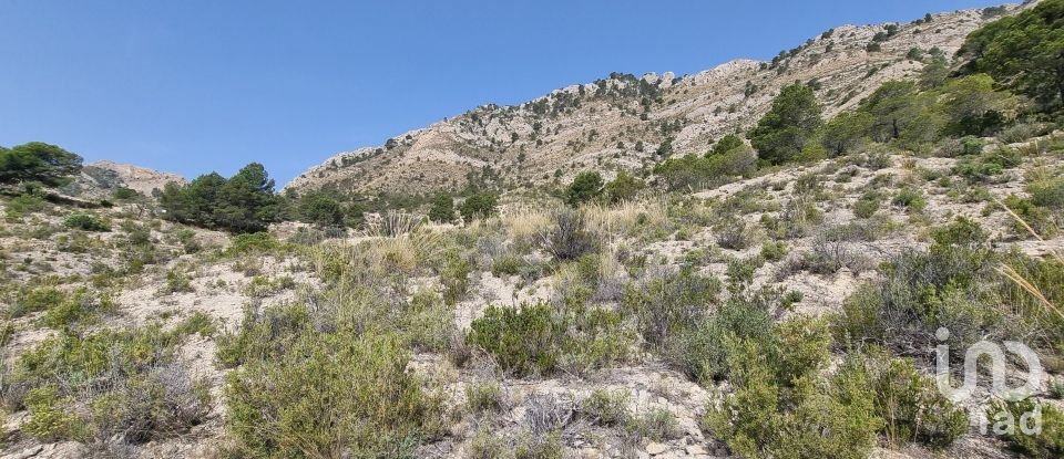 Terreno de 88.778 m² en Urbanización Carrasqueta (03100)