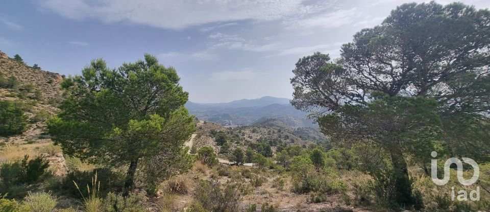 Terreno de 88.778 m² en Urbanización Carrasqueta (03100)