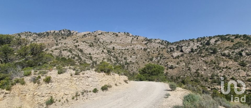 Terreno de 88.778 m² en Urbanización Carrasqueta (03100)