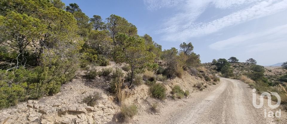Terreno de 88.778 m² en Urbanización Carrasqueta (03100)