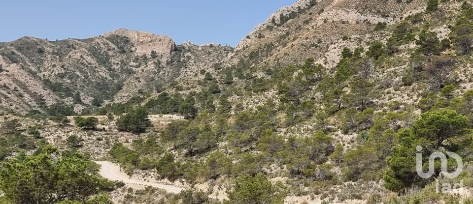 Terreno de 88.778 m² en Urbanización Carrasqueta (03100)