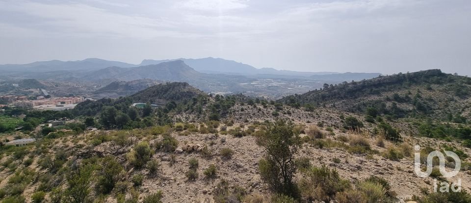 Terreno de 88.778 m² en Urbanización Carrasqueta (03100)