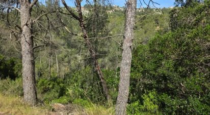 Land of 2,259 m² in Olesa de Bonesvalls (08795)