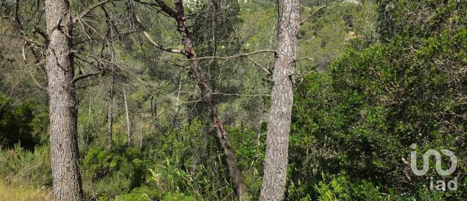 Terreno de 2.259 m² en Olesa de Bonesvalls (08795)