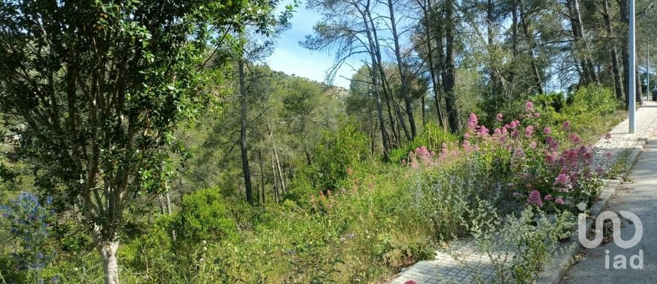 Terreno de 2.259 m² en Olesa de Bonesvalls (08795)