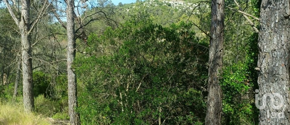 Terreno de 2.259 m² en Olesa de Bonesvalls (08795)