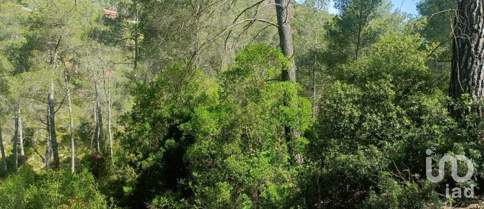 Terreno de 2.259 m² en Olesa de Bonesvalls (08795)