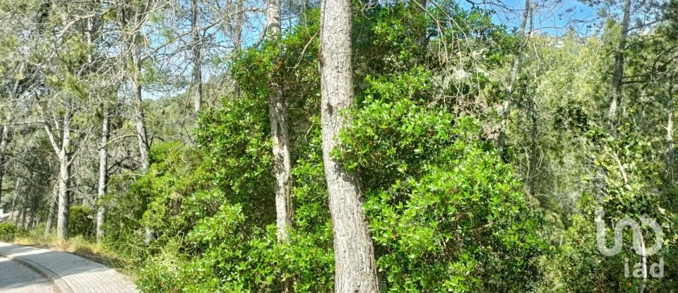 Terreno de 2.259 m² en Olesa de Bonesvalls (08795)