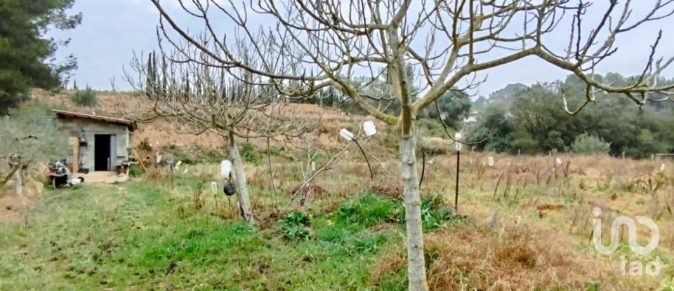 Terreny agrícola de 2.608 m² a Ginestar (43748)