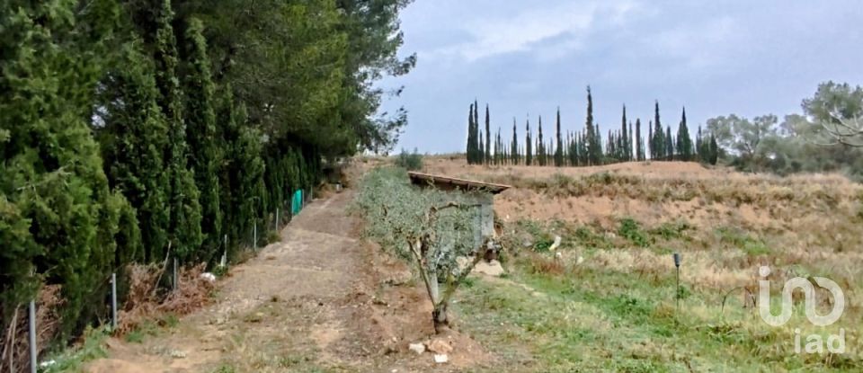 Terreny agrícola de 2.608 m² a Ginestar (43748)