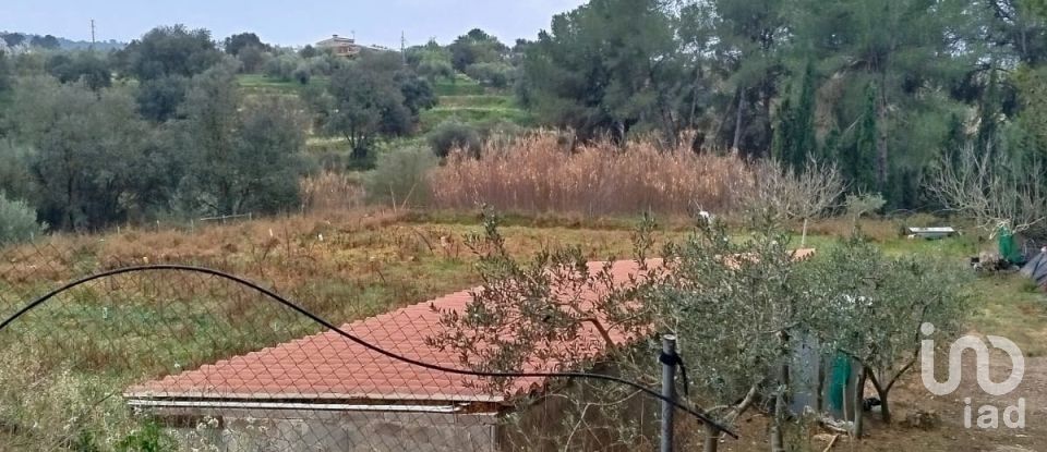 Terreny agrícola de 2.608 m² a Ginestar (43748)