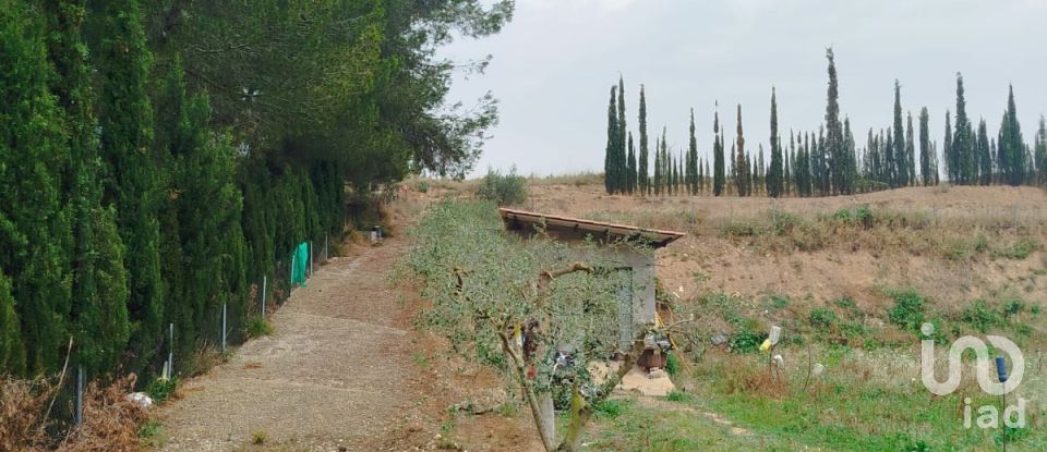 Terreny agrícola de 2.608 m² a Ginestar (43748)