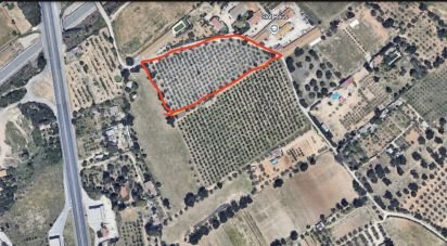 Farm land of 12,879 m² in Vila-Seca (43480)
