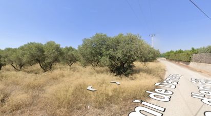 Farm land of 12,879 m² in Vila-Seca (43480)