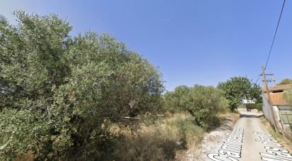 Farm land of 12,879 m² in Vila-Seca (43480)
