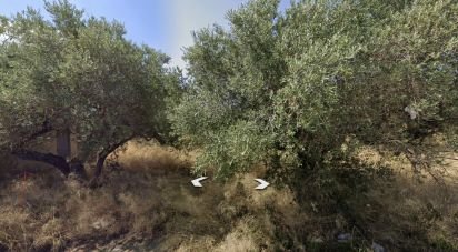 Farm land of 12,879 m² in Vila-Seca (43480)