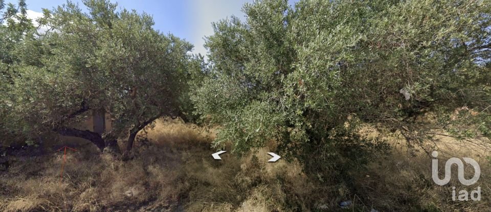 Farm land of 12,879 m² in Vila-Seca (43480)